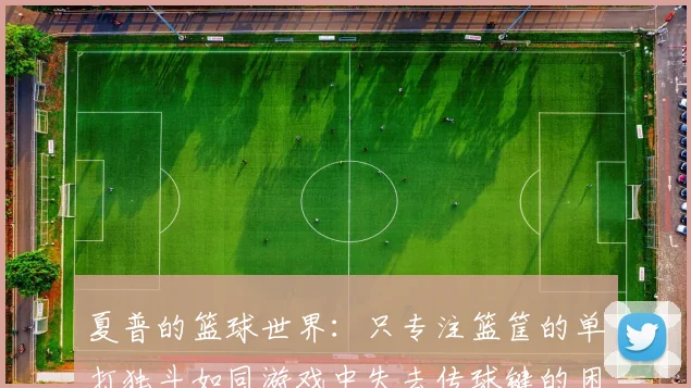 夏普的篮球世界：只专注篮筐的单打独斗如同游戏中失去传球键的困境